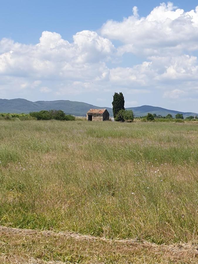 La Grange Du Cade Villa Magalas Exterior foto